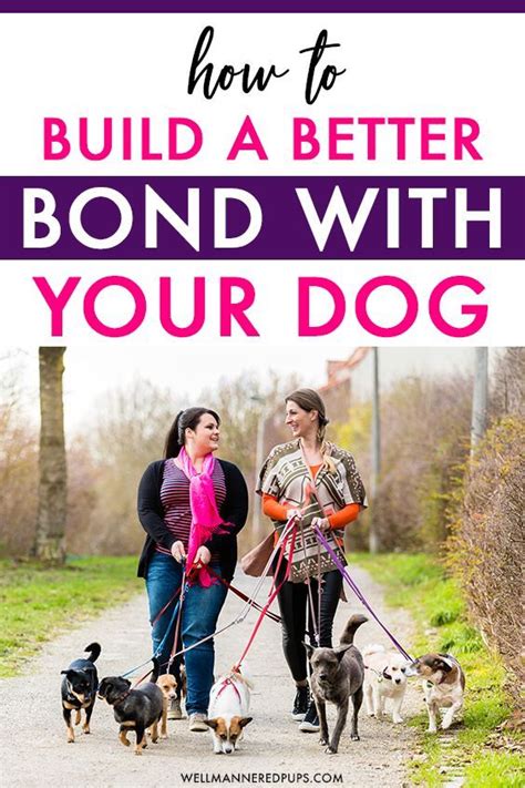 Two Women Walking Their Dogs On A Path With The Text How To Build A