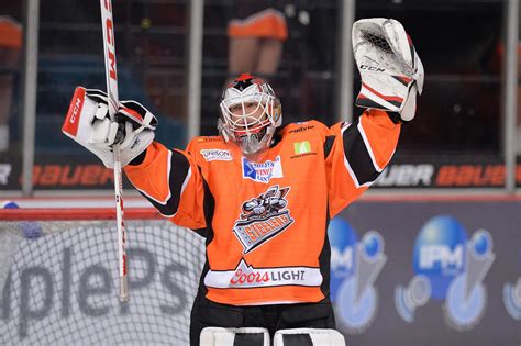 11 great photos of the mighty Sheffield Steelers in action | The Star