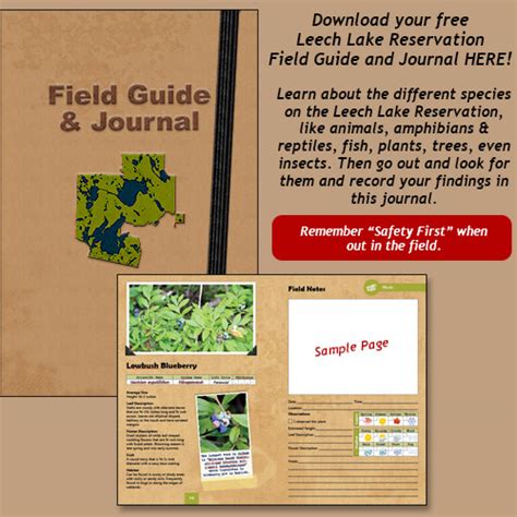 Field Guide And Journal