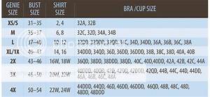 How To Calculate Bra Size Victoria 39 S Secret