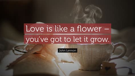 It matters not who you love, where you love, why you love, when you love, or how you love, it matters only that you love. John Lennon Quote: "Love is like a flower - you've got to let it grow." (19 wallpapers) - Quotefancy