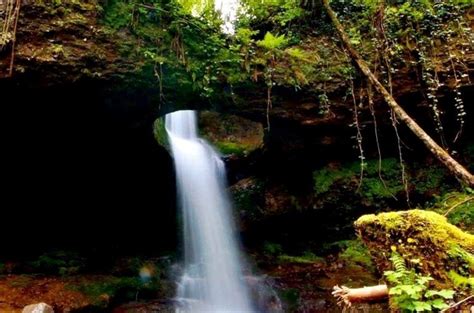 Bu nedenle hususi aracınızla gelmekte fayda var. Artvin'in murgul ilçesinde biri yapay biri doğal iki ...