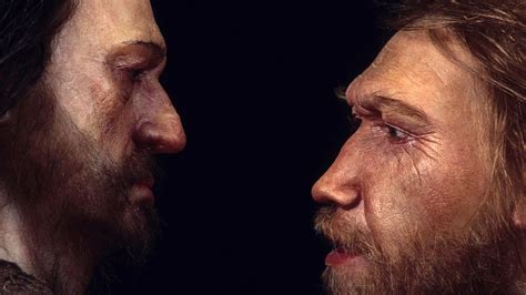 Science Seeks Clues To Human Health In Neanderthal Dna Shots Health