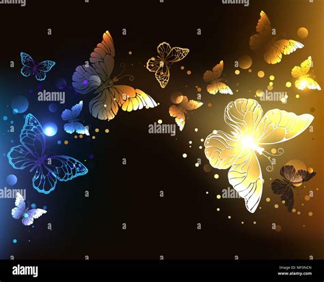 Night Butterflies Hi Res Stock Photography And Images Alamy