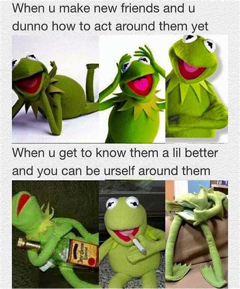 Kermit Funny Kermit Memes Really Funny Memes Stupid Funny Memes