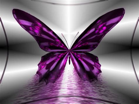Purple Butterfly Backgrounds Wallpapersafari