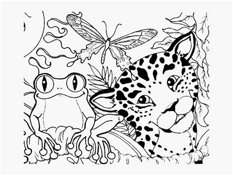 Printable Rainforest Coloring Pages Home Interior Design