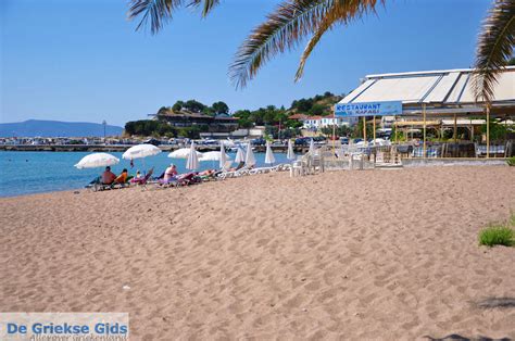 Welcome to finikounda hotel!www.finikoundahotel.grenjoy your summer vacation at hotel finikounda, within walking distance of the warm blue sea. Finikounda Messinia | Informatie en tips Finikounda