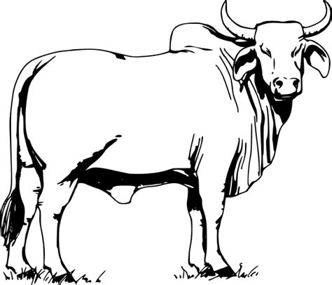 Oxen Clipart Clipart Best