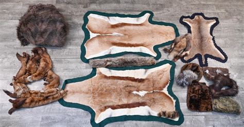 Sold Price Grouping Of Animal Hides And Furs Including A Cape November