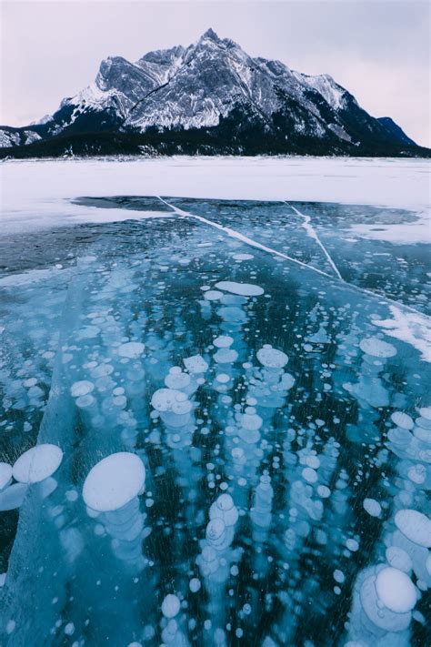 The Frozen Bubbles Of Abraham Lake And Driving Canadas Epic Icefields