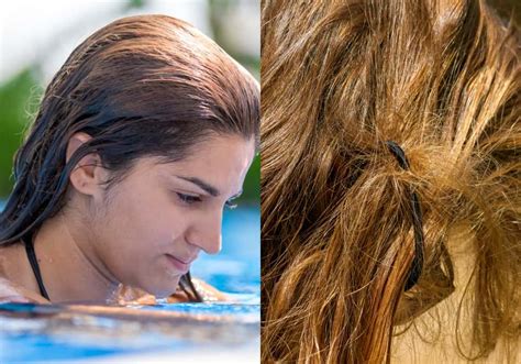 Update More Than 72 Chlorine Water Effects On Hair Ineteachers