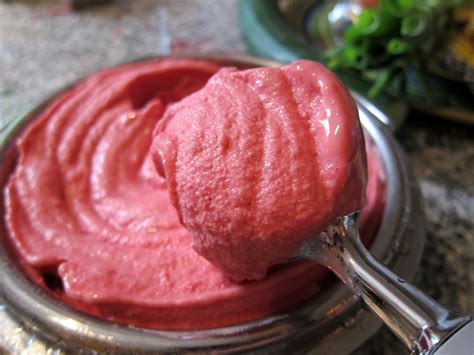 How To Make Sorbets Ice Cream Nation