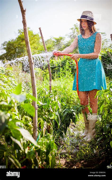 Young Woman Watering Vegetable Garden Stock Photo Alamy