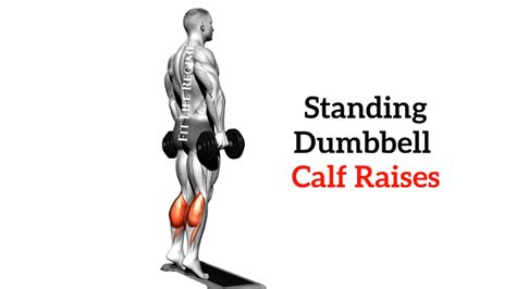 Standing Dumbbell Calf Raise And Its Variations