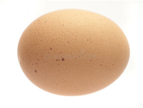 A Single Chicken Egg Picture Image 3307718