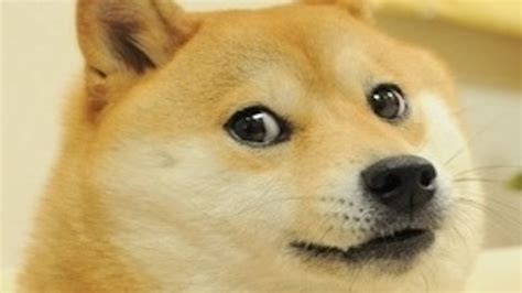 It has a circulating supply of 130 billion doge dogecoin is a cryptocurrency based on the popular doge internet meme and features a shiba inu. YouTube Has An Adorable Doge Mode | Gizmodo Australia