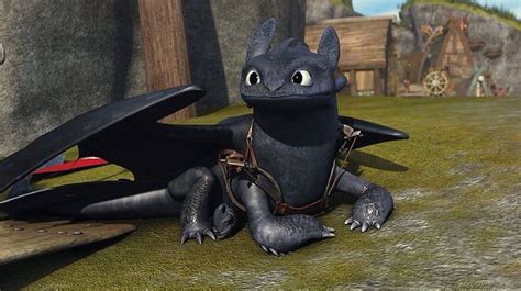Toothless Looks So Adorable In This Pic