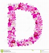 Letter D From Orchid Flowers Isolated On White Stock Image - Image of ...