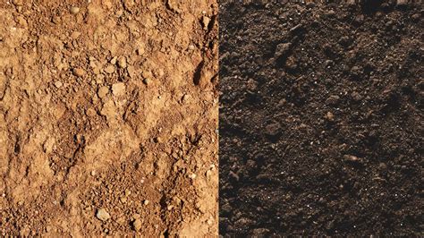 Understanding Why Dirt And Soil Are Not The Same Lawnstar