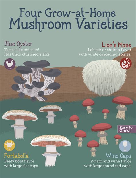 How To Grow Mushrooms Carlos Colon Viral