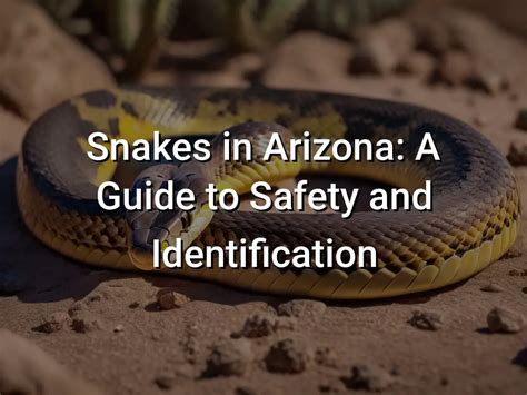 Snakes In Arizona A Guide To Safety And Identification Hikers Daily