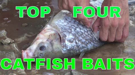 Best Four Baits For Catching More Catfish Youtube