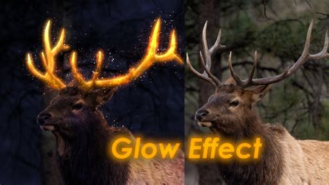 Deer Glow Effect On Gimp Youtube