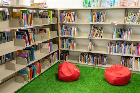 Bibliotheque Ecole Primaire Brin Damour 5 Viva MÉdia