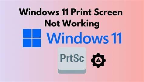 Windows 11 Print Screen Not Working Proven Solution 2024