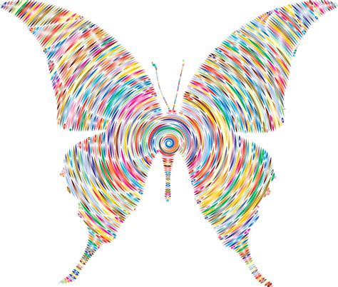 Schmetterling Tier Insekt Kostenlose Vektorgrafik Auf Pixabay Pixabay
