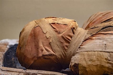 8000 Year Old Mummies Uncovered In Portugal Could Be Oldest Ever Found