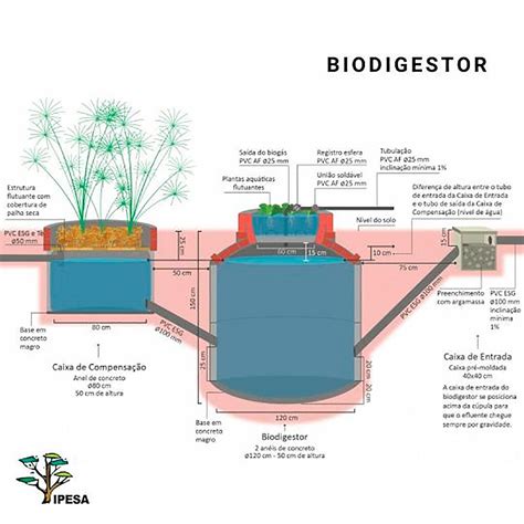 V Deo Ensina Como Construir Um Biodigestor Ciclovivo