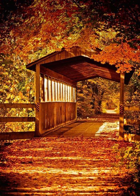 Fall Bridge On The Kal Haven Trail By Michael Kucinski Autumn