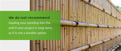 How To Make Bamboo Walls Diy Bamboo Walls Bamboo Wall Bamboo Diy