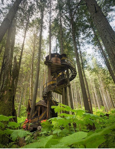 The Enchanted Forest Near Revelstoke Bc Tree House Earth Pictures