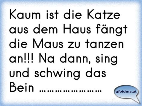 Kaum Ist Die Katze Aus Dem Haus Fängt Die Maus Zu Tanzen An Na Dann