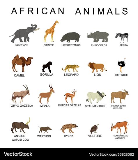 Top 115 Names Of Wild Animals In Africa