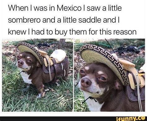 When I Was In Mexico I Saw A Little Sombrero And A Little Saddle And I