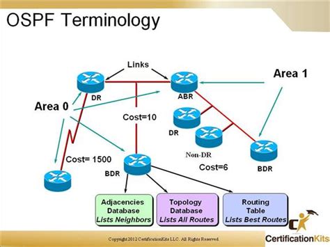 Ospf Ccie Ccnp Ospf External Routes Ccna Router Networking Hot Sex