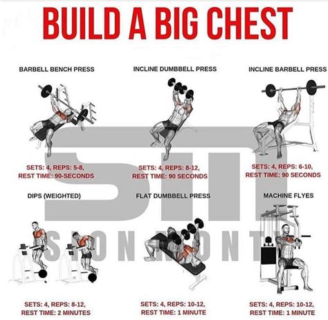 Top 6 Chest Exercises