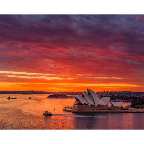 Sydney Harbour Sunrise 10x8 Special A20 Each Or 2 For A34
