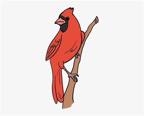 How To Draw Cardinal Bird Cartoon Cardinal Red Bird 680x678 Png