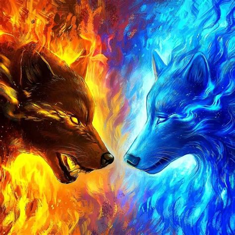 Hot And Cold Wallpapers 4k Hd Hot And Cold Backgrounds On Wallpaperbat