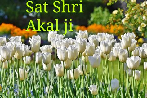 Top 10 Sat Shri Akal Ji Images Greating Picturesphotos For Whatsapp