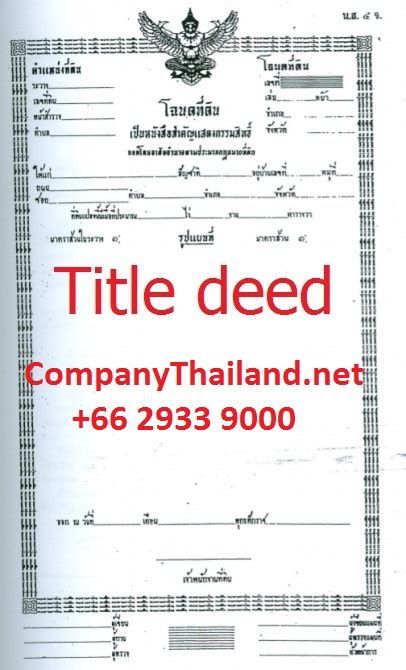 How Does A Title Deed Look Like