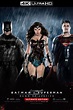 Batman v Superman: Dawn of Justice (2016) - Posters — The Movie ...