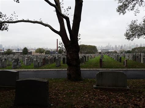 First Calvary Cemetery Woodside Tripadvisor