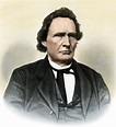 From Bondage to Freedom | Author profiles Thaddeus Stevens as a leader ...