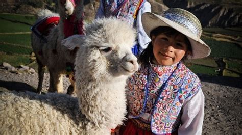 Interesting Facts About South America Peru And Bolivia Facts